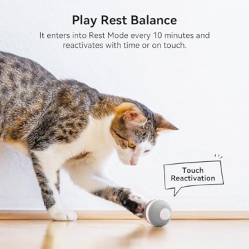 Cheerble Smart Interactive Cat Toy for Cats and Kittens