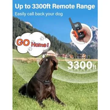 PaiPaitek Bark Collar - Waterproof & Rechargeable for Dogs