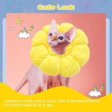 HYLYUN Cat Recovery Collar - Cute Sun Flower Neck Cat Cones After Surgery, Adjustable Cat E Collar, Surgery Recovery Elizabethan Collars for Kitten and Cats