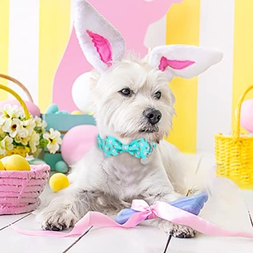 Stylish Adjustable UP URARA PUP Easter Dog Collar for XL Dogs