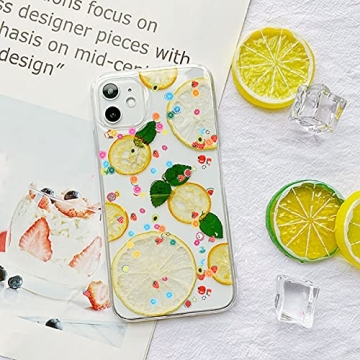 KIMOBER 6000PCS Colorful Polymer Fruit Slices for Crafts