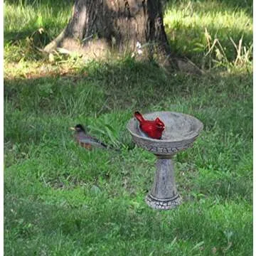 G & F MiniGardenn Birdbath for Your Charming Garden