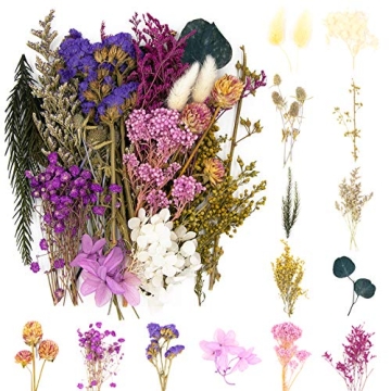 Vignee Dried Pressed Flowers for Crafting & DIY Projects