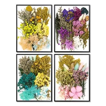 Vignee Dried Pressed Flowers for Crafting & DIY Projects