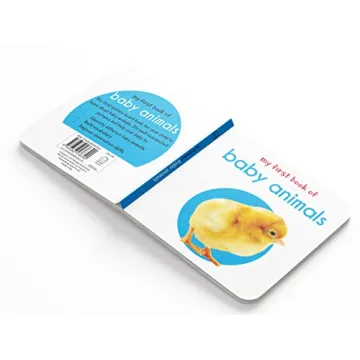 My First Library 10 Board Books Boxset for Toddlers