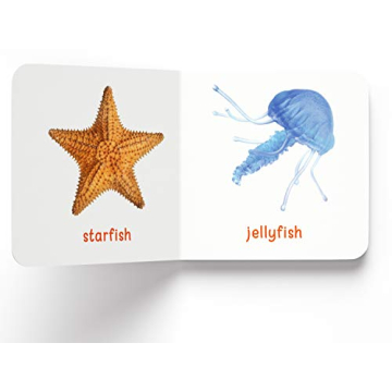 My First Library 10 Board Books Boxset for Toddlers