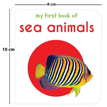 My First Library 10 Board Books Boxset for Toddlers