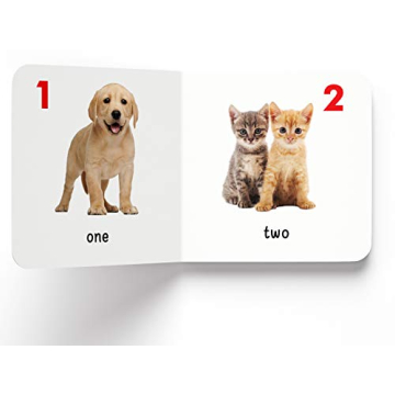 My First Library 10 Board Books Boxset for Toddlers