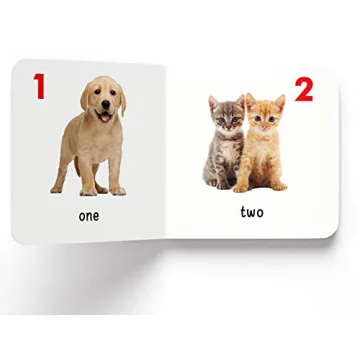 My First Library 10 Board Books Boxset for Toddlers