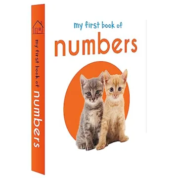 My First Library 10 Board Books Boxset for Toddlers