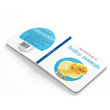 My First Library 10 Board Books Boxset for Toddlers