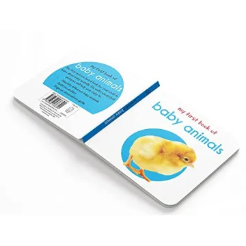 My First Library 10 Board Books Boxset for Toddlers