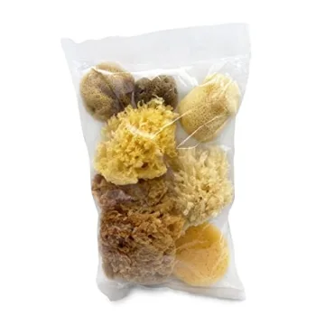 Natural Sea & Synthetic Sponges for Artists Crafts 7pc Set