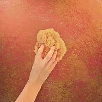 Natural Sea & Synthetic Sponges for Artists Crafts 7pc Set