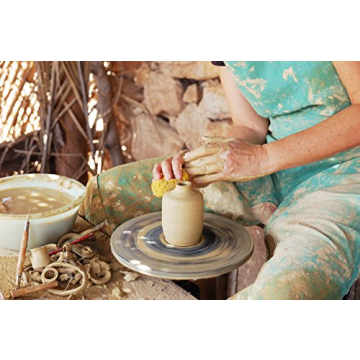 Natural Sea & Synthetic Sponges for Artists Crafts 7pc Set