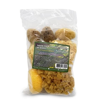 Natural Sea & Synthetic Sponges for Artists Crafts 7pc Set