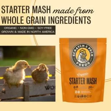 Scratch and Peck Starter Mash for Healthy Baby Chicks