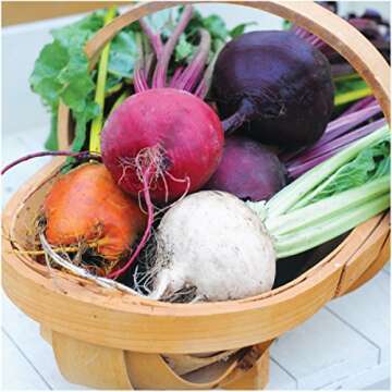 Seed Needs, 1,500+ Rainbow Beetroot Seeds for Planting - 8 Varieties of Heirloom Beet Seeds for Plan...