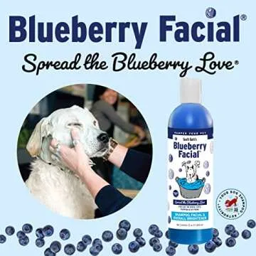 South Bark's Blueberry Facial® Pet Shampoo 12 oz. | Brightener & Tear Stain Remover | Long-Lasting Odor Eliminator | Cruelty-Free | Paraben-Free | Made in The USA