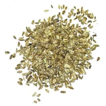 Seed Needs Lovage Seeds for Planting - Non-GMO, Heirloom & Untreated - Organically Grow Your own Medicinal/Culinary Herb Garden Indoors or Outdoors (2 Packs)