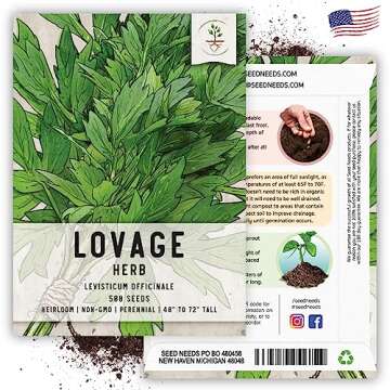 Seed Needs Lovage Seeds for Planting - Non-GMO, Heirloom & Untreated - Organically Grow Your own Medicinal/Culinary Herb Garden Indoors or Outdoors (2 Packs)