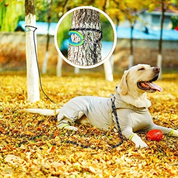 NTR Dog Rope Leash for All Dogs with Reflective Thread