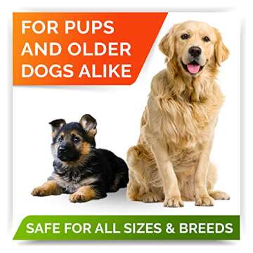 StrellaLab Omega 3 Treats for Dogs - Allergy & Skin Relief