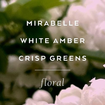 Lollia Elegance Bubble Bath - Moisturizing & Luxurious Bathing Experience