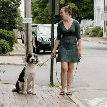 Fida 6 FT Heavy Duty Dog Leash with 2 Comfortable Padded Handles, Traffic Handle & Advanced Easy Snap Hook, Reflective Walking Lead for Large, Medium & Small Breed, Green