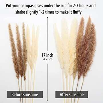 65 Pcs Pampas Grass, 17'' Natural Dried Pampas Grass Decor Plants Flower Bouquet for Pampas Grass Va...