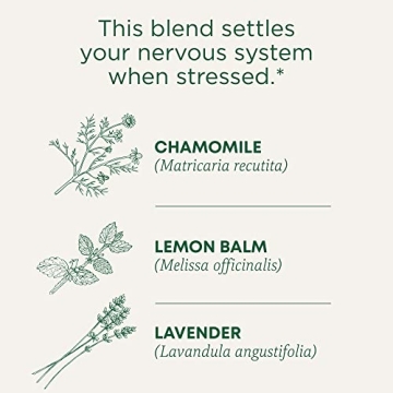 Organic Chamomile & Lavender Tea for Stress Relief 96 Bags