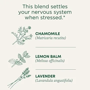 Organic Chamomile & Lavender Tea for Stress Relief 96 Bags