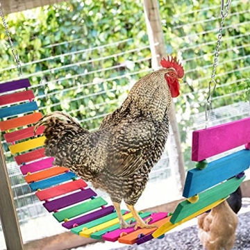 KATUMO Chicken Swing for Happy Hens and Birds