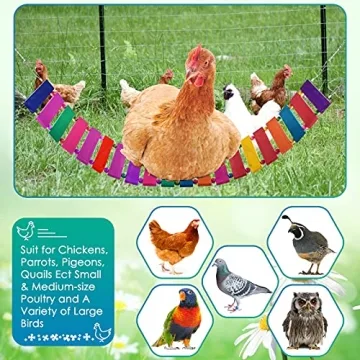 KATUMO Chicken Swing for Happy Hens and Birds
