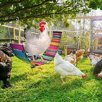 KATUMO Chicken Swing for Happy Hens and Birds