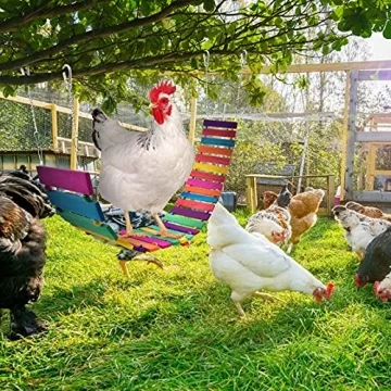 KATUMO Chicken Swing for Happy Hens and Birds