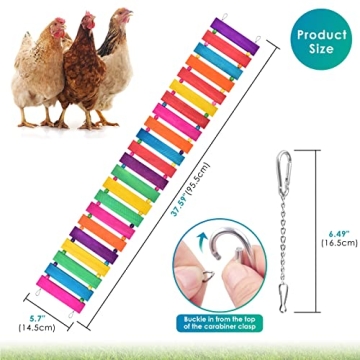 KATUMO Chicken Swing for Happy Hens and Birds