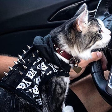 zhuohai Cone Spikes Studs - Stylish DIY Fashion Accessories