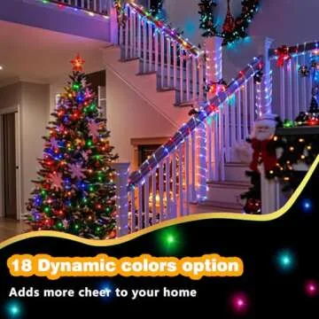 GLPE LED Rope Lights Indoor with USB Powered, 66ft 200 LED String Lights Outdoor Waterproof, Tube Lights with 16 Color Changing,Rope Lights for Outside Christmas, Garden, Party,Camping