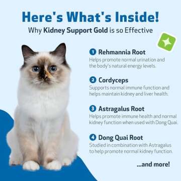 Pet Wellbeing Kidney Support Gold for Cats - Natural Kidney Support