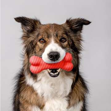 Playology Dual Layer Bone | Durable Dog Toy for Medium Dogs