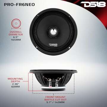 DS18 PRO-FR6NEO 6.5" Full-Range Loudspeaker - High Efficiency