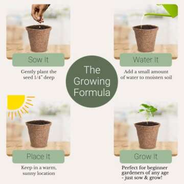 Winter Indoor Garden Kit - Herb Garden Seed Starter Kit for Gardening Indoors | Plant Grow Kit with Sage Rosemary Seeds and Hot Pepper Seeds for Planting | Growing Fresh Kitchen Herbs - By Mr Sprout