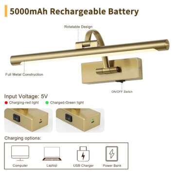 DESOOP Battery Operated Picture Light with Remote and Timer, Wireless Art Lights for Paintings Brass Rechargeable Gallery Light Dimmable Artwork Lighting for Canvas, Portrait 16'' Inch Warm White