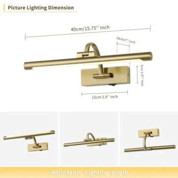 DESOOP Battery Operated Picture Light with Remote and Timer, Wireless Art Lights for Paintings Brass Rechargeable Gallery Light Dimmable Artwork Lighting for Canvas, Portrait 16'' Inch Warm White