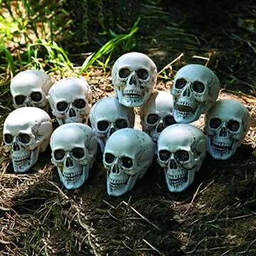Bag of Realistic Bulk Skeleton Skulls (12 Pack) 5 Inch Human Skulls Halloween Decorations, Bar and T...