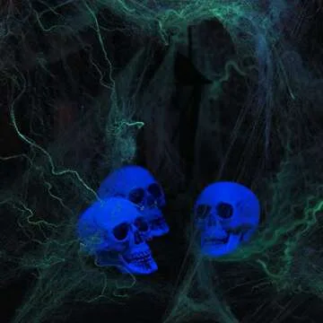Realistic Bulk Skeleton Skulls for Halloween Decor