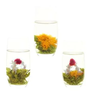 LWXLJMJZC－12 Unique Varieties Blooming Green Tea Ball | Jasmine Flowering Tea | Individual Pack with Flowers－Gifts For Tea Lovers