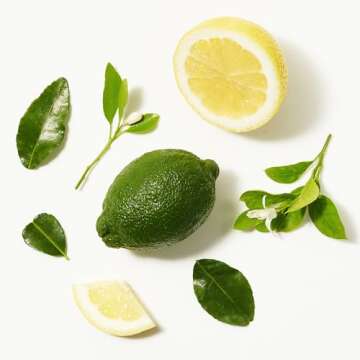 Not Your Mother's Clean Freak Refreshing Jumbo Dry Shampoo (2-Pack) - 12 oz - Instantly Refreshes Hair Between Washes - Fresh Citrus Scent - Ultimate Oil Absorption - For All Hair Types