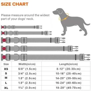 Taglory Reflective Dog Collar with Lock Buckle - Adjustable
